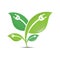 Ecology green leaf logo organic environment, tree leaf logotype