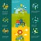 Ecology infographics flat web site concept template