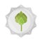 Ecology leaves foliage nature environment flat icon design