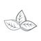 Ecology leaves nature environment line icon style