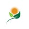 Ecology logos of green leaf nature element icon on white background . illustrator