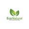 Ecology natural icon vector