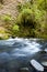 Ecology scene / river flow