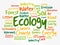 Ecology word cloud, conceptual collage background