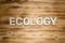 ECOLOGY word made of wooden block letters on wooden board