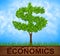 Economics Tree Indicates American Dollars And Branch