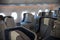 An economy class empty cabin of the airplane - empty dark blue chairs - opened portholes