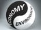 Economy and environment in balance - pictured as words Economy, environment and yin yang symbol, to show harmony between Economy