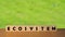 ECOSYSTEM concept message word on a wooden desk on cube blocks with a green nature