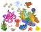 Ecosystem of coral reef with different marine inhabitants on white background