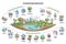 Ecosystem services with subdivision categories collection outline diagram