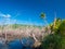 Ecosystem was destroyed by the hurricane Maria, Punta Tuna Wetlands Nature Reserve - Puerto Rico - USA