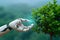 Ecotech harmony Human hand and robotic hands hold a tree