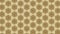 Ecru Vintage Ornamental Pattern Wallpaper Template