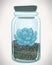 ector hand drawn succulent plant in glass terrarium. Hipster sty