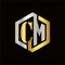 Ector letter CM logo elegant colors
