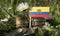 Ecuador flag with stack of money coins with grass