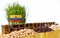 Ecuador flag waving with stack of money coins and piles of wheat