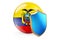 Ecuadorian flag with shield. Protect of Ecuador concept, 3D rendering