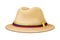 Ecuadorian Wide Brimmed Hat as Traditional Headdress Vector Illustration