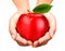 Ed ripe apple in a hands. Concept of diet.