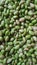 Edamame bean, freshly picked soybeans China. Overhead