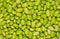 Edamame. Green soybeans macro food photo
