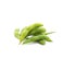 Edamame nibbles, boiled green soy beans, japanese food