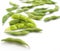 Edamame nibbles, boiled green soy beans, japanese food