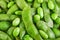 Edamame or soybeans background texture Close up