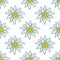 Edelweiss flower icon vector alpine logo pattern, seamless, tile, background