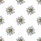 Edelweiss flower seamless pattern background texture