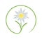 Edelweiss logo. Isolated edelweiss on white background