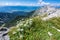 Edelweiss on the meadow on top of the mountain