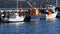 Eden commercial fishing fleet boats