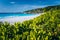 Eden Picturesque Grand Anse, La Digue island, Seychelles. Lush green vegetation frame white sand paradise beach with