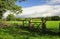 The Eden valley fields, Cumbria