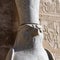 Edfu Temple - Horus Statue - Ancient Egyptian Civilisation