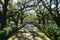 Edgard, Louisiana, U.S.A - February 2, 2020 - The old oak trees by the white mansion of Whitney Plantation