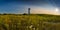 Edgartown Lighthouse and wildflowers at sunrise