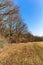 Edge of beech forest. Beech forest in the Czech Republic. Winter time without snow. Sunny day in the countryside