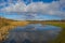 Edge of a canal in a green grassy landscape in wetland in sunlight under a blue sky in winter