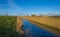 Edge of a canal in a green grassy landscape in wetland in sunlight under a blue sky in winter