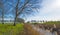 Edge of a canal in a green grassy landscape in wetland in sunlight under a blue sky in winter