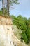 The edge of a clay cliff near the pine taiga forest of Yakutia.