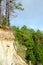 The edge of a clay cliff near the pine taiga forest of Yakutia