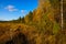 Edge of colorful swamp in autumn Lapland, Finland