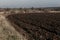 Edge of field of black earth in fall day