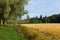 Edge of field with mowed wheat in autumn. Hameenlinna, Suomi