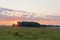 The edge of the forest and flowering meadow at dawn. The rays of the sun breaking through the trees.